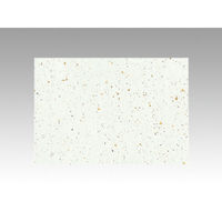 カミイソ産商 テーブルマット 尺5寸 No.1302 金閣 75001302 1袋(100個)（直送品）