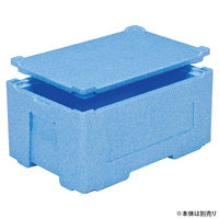 三甲 EPボックス#40-2蓋 76027900BLEP 1ケース(30個)（直送品）