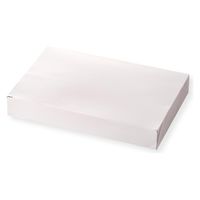 アヅミ産業 仕出し弁当容器 TSA-90-60 白 ワンピース TSA9060WH-1 1ケース(300個(50個×6))（直送品）