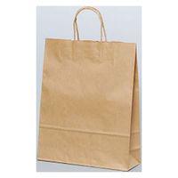 パックタケヤマ 紙手提袋 自動手提袋 HZ 未晒無地 XZT00666 1ケース(200個(50個×4))（直送品）