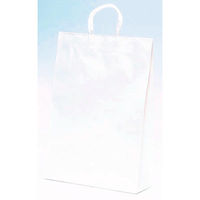パックタケヤマ 紙手提袋 ST2才 白無地 XZT00795 1ケース(200個(50個×4))（直送品）