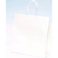 パックタケヤマ 紙手提袋 ST3才 白無地 XZT00798 1ケース(200個(50個×4))（直送品）