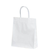 パックタケヤマ 紙手提袋 STB プリティ 白 XZT00805 1ケース(100個(10個×10))（直送品）