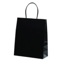 パックタケヤマ 紙手提袋 STB プリティ 黒 XZT00806 1ケース(100個(10個×10))（直送品）