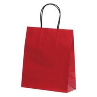 パックタケヤマ 紙手提袋 STB プリティ ローズ XZT00807 1ケース(100個(10個×10))（直送品）