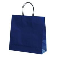 パックタケヤマ 紙手提袋 ST3才 プリティ 紺 XZT00854 1ケース(100個(10個×10))（直送品）