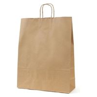 パックタケヤマ 紙手提袋 自動手提袋 HV140 未晒 無地 XZT00876 1ケース(200個(50個×4))（直送品）