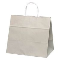 パックタケヤマ 紙手提袋 自動手提袋 HV75 グレー XZT00936 1ケース(200個(50個×4))（直送品）