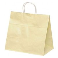 パックタケヤマ 紙手提袋 自動手提袋 HV75 クリスタル イエロー XZT00942 1ケース(200個(50個×4))（直送品）