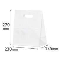 パックタケヤマ 紙手提袋 イーグリップ LL 白無地 XZT52024 1ケース(500個(50個×10))（直送品）