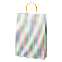 パックタケヤマ 紙手提袋 ST2才 いなせ (和モダン) XZT68312 1ケース(100個(25個×4))（直送品）