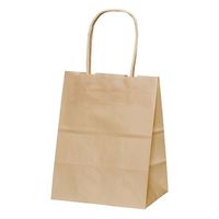 パックタケヤマ 紙手提袋 自動手提袋 HV20 未晒 無地 XZT68660 1ケース(200個(50個×4))（直送品）