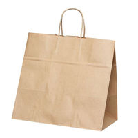 パックタケヤマ 紙手提袋 自動手提袋 HV85 未晒 無地 XZT68985 1ケース(200個(50個×4))（直送品）