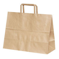 パックタケヤマ 紙手提袋 平紐手提袋 H平32 未晒 無地 XZT69823 1ケース(200個(50個×4))（直送品）