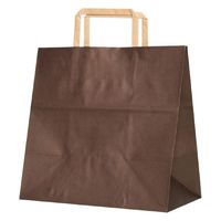 パックタケヤマ 紙手提袋 H平26 ショコラ XZT69939 1ケース(200個(50個×4))（直送品）