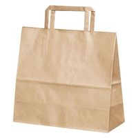 パックタケヤマ 紙手提袋 平紐手提袋 H平24 未晒 無地 XZT69940 1ケース(200個(50個×4))（直送品）