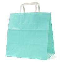 パックタケヤマ 紙手提袋 平紐手提袋 H平26 スカイ XZTT1015 1ケース(200個(50個×4))（直送品）