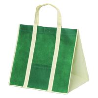 パックタケヤマ 持ち帰り袋 ソフトバッグ3827グリーン XZV01419 1ケース(100個(10個×10))（直送品）