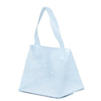 パックタケヤマ ポリ手提げ HDシオンバッグSバイオ XZV13T07 1ケース(100個(10個×10))（直送品）