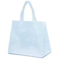 パックタケヤマ ポリ手提げ HDシオンバッグMバイオ XZV13T08 1ケース(100個(10個×10))（直送品）