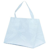 パックタケヤマ ポリ手提げ HDシオンバッグLバイオ XZV13T09 1ケース(100個(10個×10))（直送品）