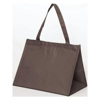 パックタケヤマ 持ち帰り袋 SFバッグ ブラウンL XZV90714 1ケース(100個(10個×10))（直送品）