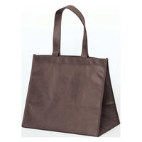 パックタケヤマ 持ち帰り袋 SFバッグ ブラウンM XZV90715 1ケース(100個(10個×10))（直送品）