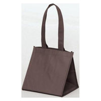 パックタケヤマ 持ち帰り袋 SFバッグ ブラウンS XZV90716 1ケース(100個(10個×10))（直送品）