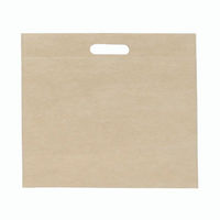 パックタケヤマ 保冷バッグ エコバッグ クラフト保冷バッグ XZV90730 1ケース(50個(10個×5))（直送品）