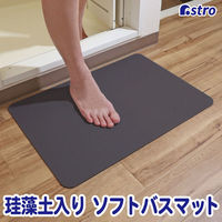 スミノエ デザインライフ ウッドバスマット 350×500mm グレー