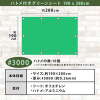 AXg ngtO[V[g 190×280cm 505-17 1iij
