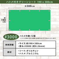 AXg ngtO[V[g 190×380cm 505-18 1iij