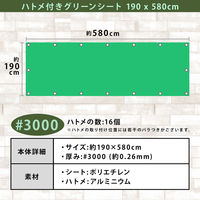 AXg ngtO[V[g 190×580cm 505-19 1iij