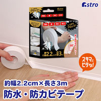 AXg ԉh~e[v 2.2cm×3m 730-60 1iij