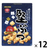 おかき おつまみ 珍味 堅ぶつ旨塩 160g 1セット(1個×12) 亀田