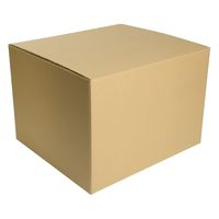 ヒラダン ダンボールS-6 JAN付 罫線入 00400650 1ケース(50個(10個×5))（直送品）