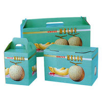 ギフト箱 紙箱 スイートメロン 2ケ用 00404852 1ケース(50個(10個×5))（直送品）