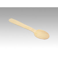 使い捨てスプーン テイクアウト用木製スプーン 140mm 100本入 00207959 1ケース(50個)（直送品）