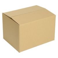 ヒラダン ダンボールS-3 JAN付 罫線入 00400647 1袋(10個)（直送品）