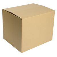 ヒラダン ダンボールS-5 JAN付 罫線入 00400649 1袋(10個)（直送品）