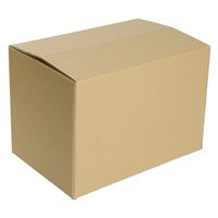 ヒラダン ダンボールA-3 JAN付 罫線入 00400651 1ケース(50個(10個×5))（直送品）