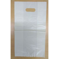 リュウグウ ポリ手提げ パン袋ベージュ無地 M 4830700 1ケース(1000個(100個×10))（直送品）