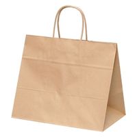 パックタケヤマ 紙手提袋 自動手提袋 HV68 未晒 無地 XZT00923 1ケース(200個(50個×4))（直送品）