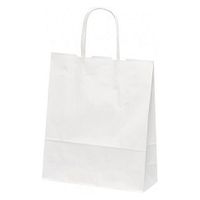 パックタケヤマ 紙手提袋 自動手提袋 HBT 晒無地 新 262336 1袋(50個)（直送品）