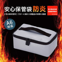 アスカ 【防災】耐火庫 安心保管袋 防炎タイプ A6 ポーチ型 FP300 1ケース(30個)（直送品）