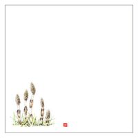 カミイソ産商 敷紙 耐油天紙 5寸 No.0060 つくし 70000060 1袋(100個)（直送品）