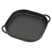 パール金属 調理器具 スプラウト 鉄鋳物製グリルプレート24×24cm(フラット) HB-6219 1ケース(6個)（直送品）