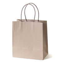 パックタケヤマ 紙手提袋 STカラーズ グレージュ XZT68330 1袋(10個)（直送品）