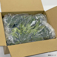 ベルグリーンワイズ 鮮度保持袋 オーラパック大袋9085規格品 51234 1ケース(500個(100個×5))（直送品）