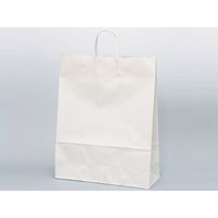 パックタケヤマ 紙手提袋 自動手提袋 HV140 晒 無地 XZT00880 1袋(50個)（直送品）